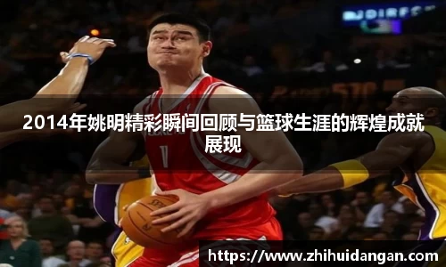 2014年姚明精彩瞬间回顾与篮球生涯的辉煌成就展现